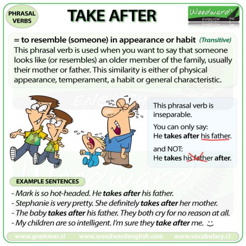 TAKE AFTER Phrasal Verb Meanings And Examples Woodward English