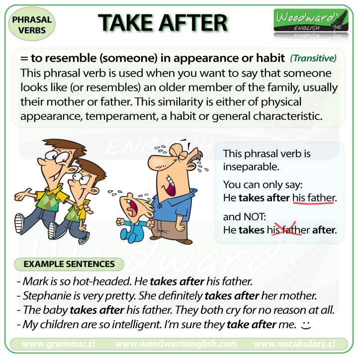 TAKE AFTER Phrasal Verb Meanings And Examples Woodward English