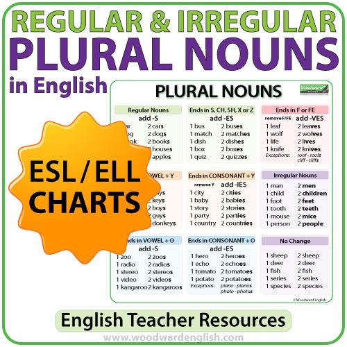 Plural Nouns Charts Regular Irregular Nouns In English Woodward English