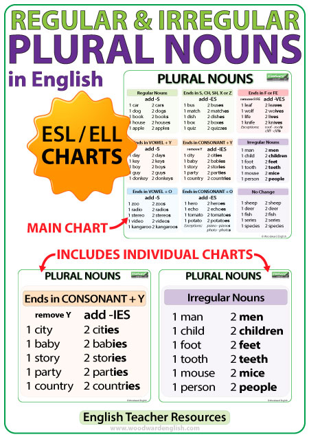 Plural Nouns Charts Regular Irregular Nouns In English Woodward 