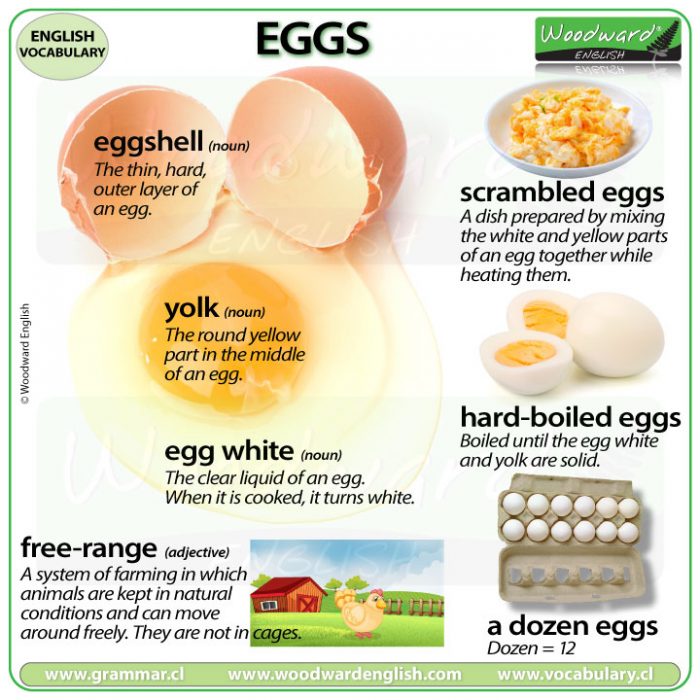 Egg vocabulary in English - eggshell, yolk, egg white, free-range, scrambled eggs, hard-boiled eggs, dozen.