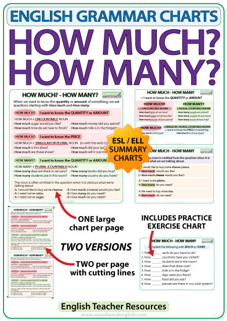 How Much vs. How Many - English Grammar by Woodward English