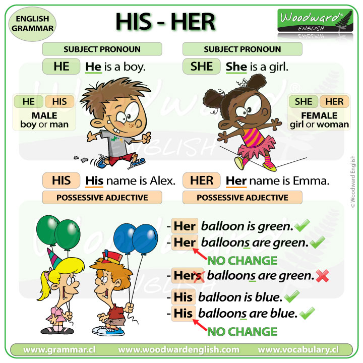 his-her-possessive-adjectives-woodward-english