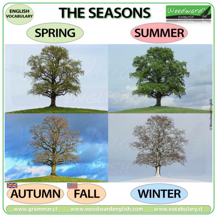 Seasons in English winter, spring, summer, autumn fall Woodward