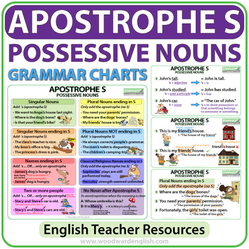 Apostrophe S Possessive Nouns Grammar Charts Woodward English