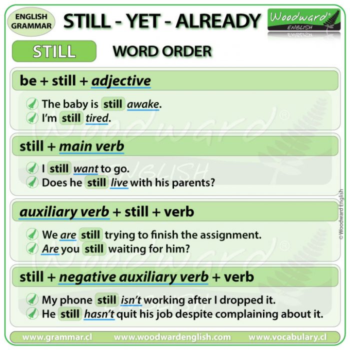 STILL Word Order Of Still In English Sentences Grammar Lesson 