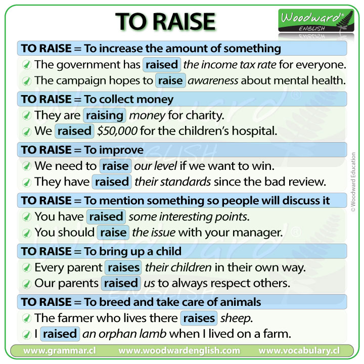 Raise Vs Rise What Is The Difference Woodward English