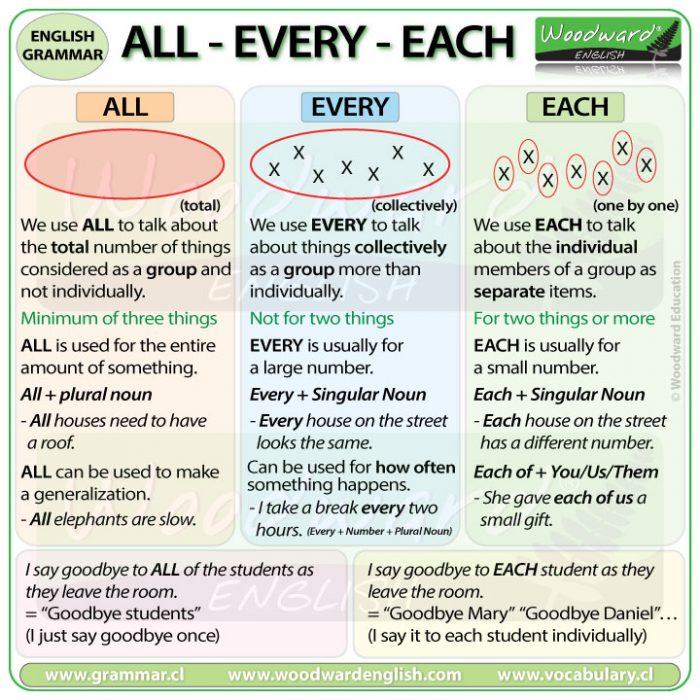 Has vs. Have in a Sentence  Difference, Uses & Examples - Lesson