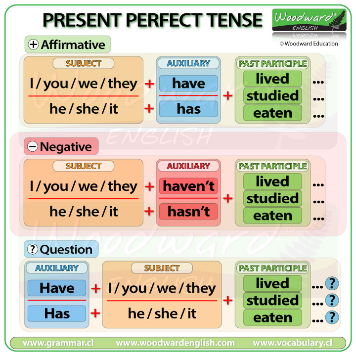 10 Sentences Of Present Perfect Tense In English