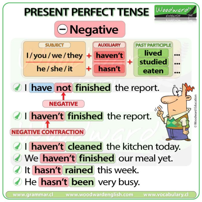 Present Perfect Tense Negative Sentences Examples